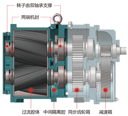 羅德凸輪轉(zhuǎn)子泵的工作原理